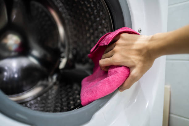 Best Mold Damage Restoration  in Los Altos, CA