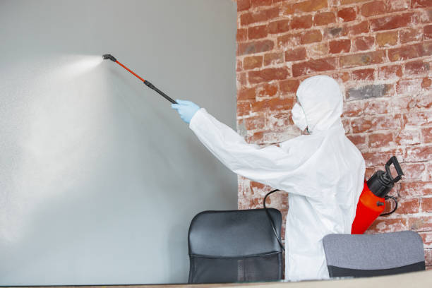 Best Mold Documentation for Insurance Claims  in Los Altos, CA